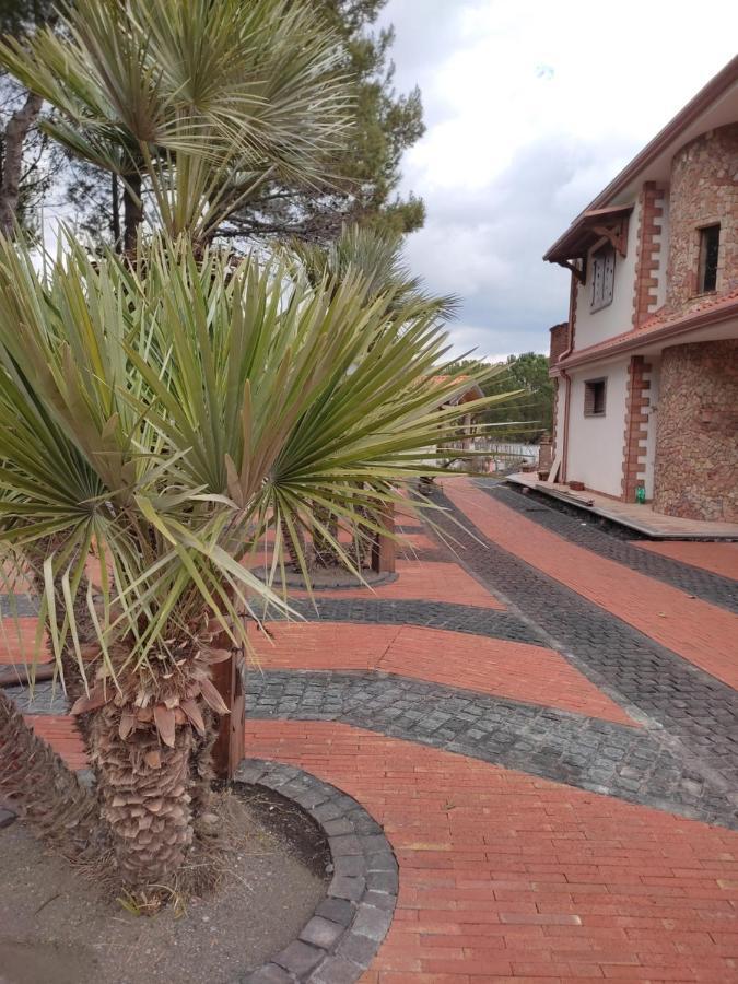 Etna Casa Del Sole Bed & Breakfast นีโกโลซี ภายนอก รูปภาพ