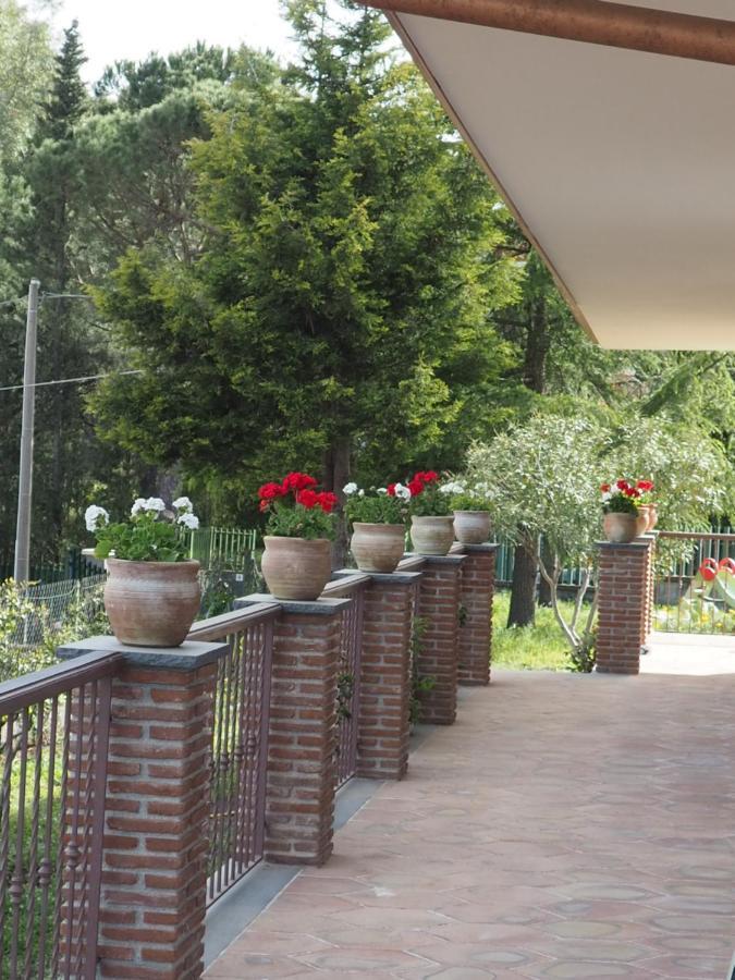 Etna Casa Del Sole Bed & Breakfast นีโกโลซี ภายนอก รูปภาพ